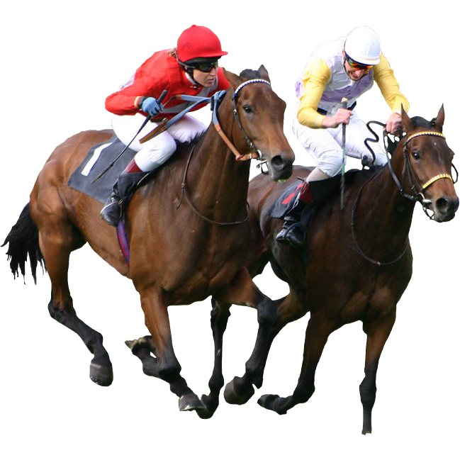 Horse Racing-hdhut.blogspot.com (4)