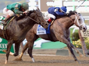 1383001458000-AP-Belmont-Park-Horse-Racing-001